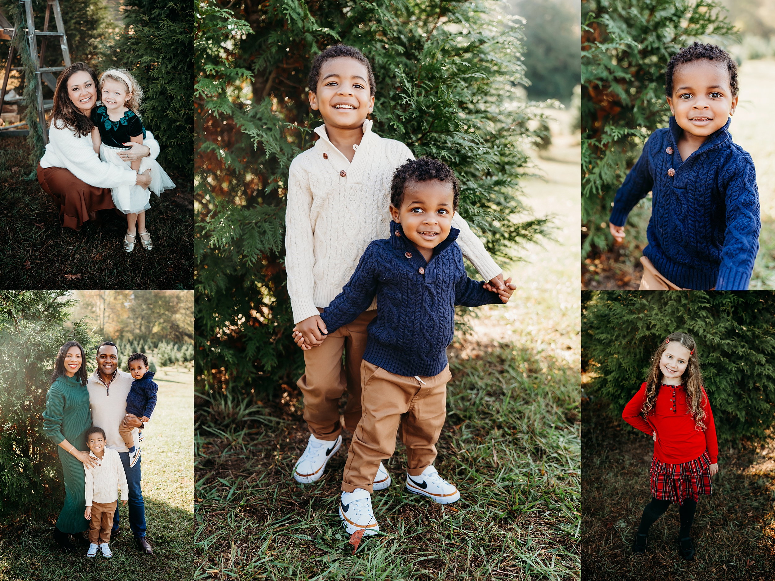 November 14th | Tree Cluster | Prospect Farms